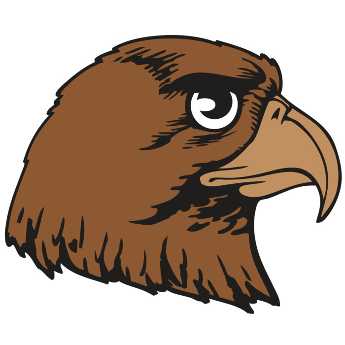 BAW HWK FLCN 05 RC Vignette