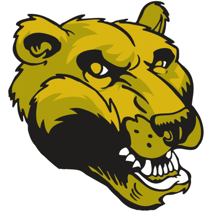 AR BEAR 47 RC Vignette