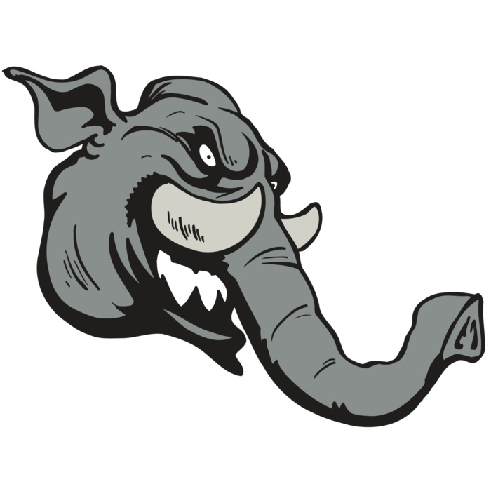 AR5 Elephant 06 RQC Vignette