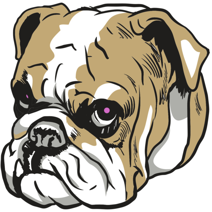 AR10 BDOG 01 C Vignette