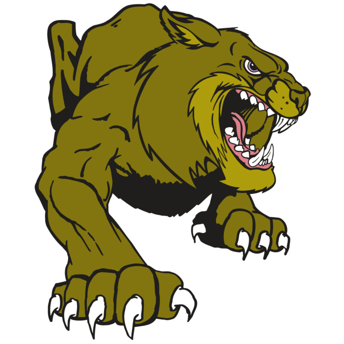 AR5 BOBCAT 24 RQC Vignette