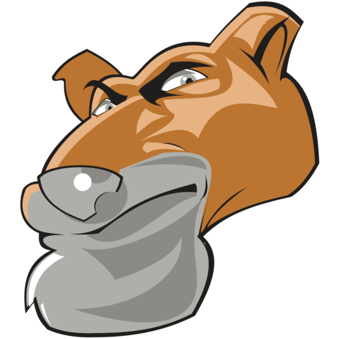 COUGAR HD0503 RQC Vignette