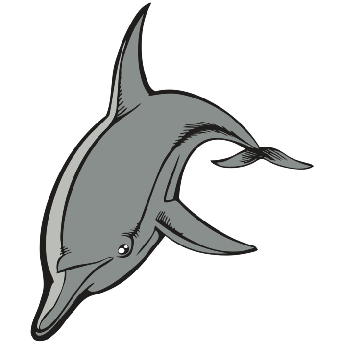 BAW DOLPHIN 03 RC Vignette