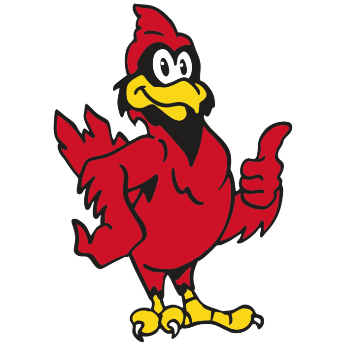 AR CARDINAL 26 RC Vignette