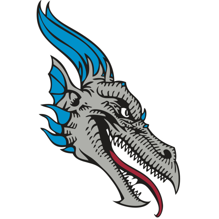 BAW DRAGON 07 RC Vignette