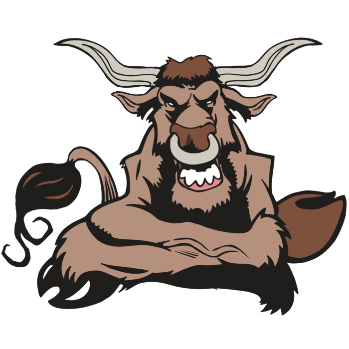 AR5 BULL 17 RQC Vignette