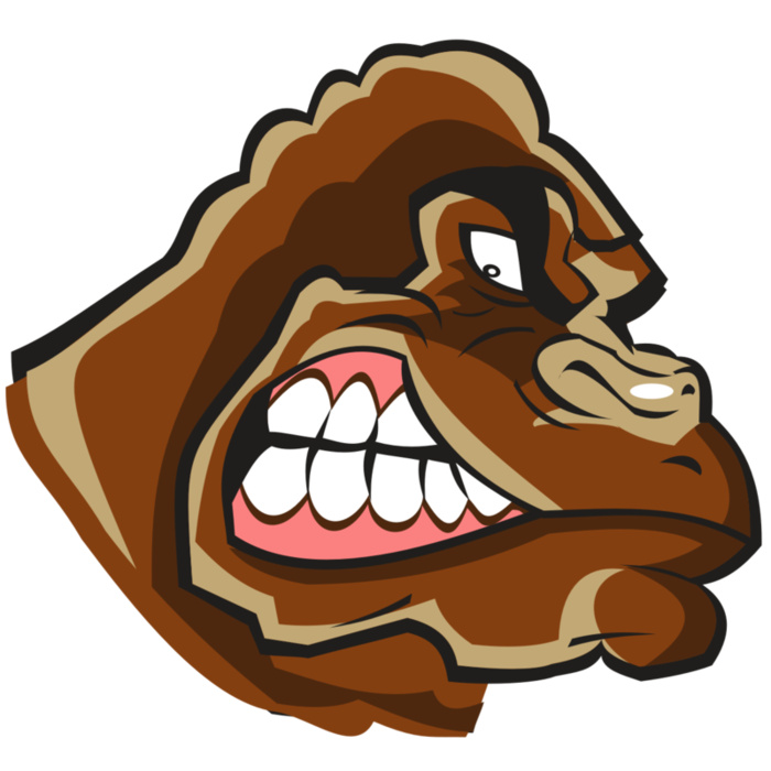 GORILLA HD0502 RQC Vignette