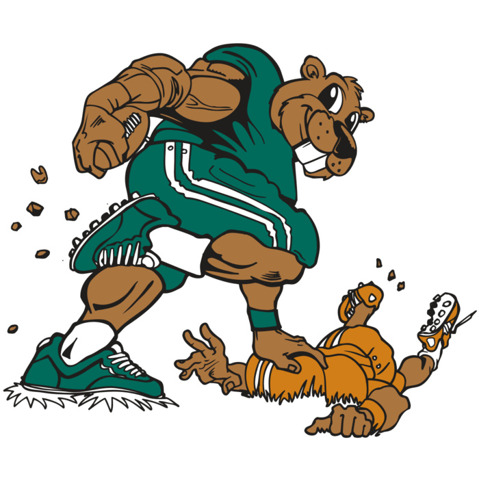 AR14 BEAVER FBLL 01 RQC Vignette