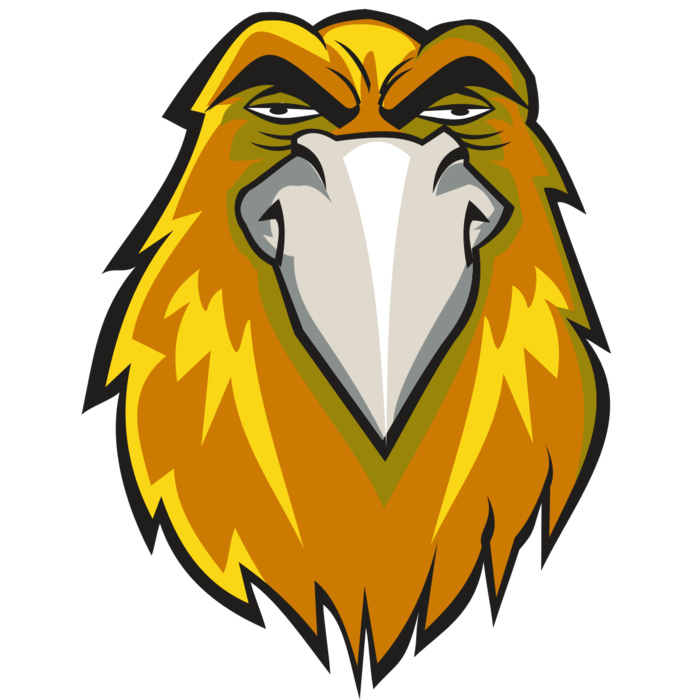 HAWK HD0501 RQC Vignette