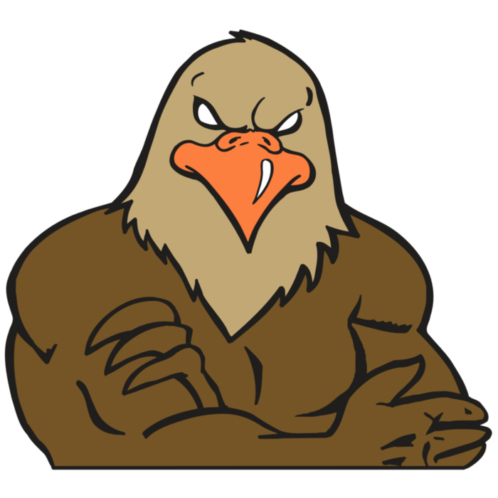 AR FALCON 26 RC Vignette