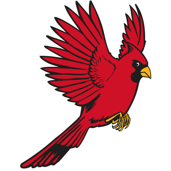 BAW CARDINAL 19 RC Vignette