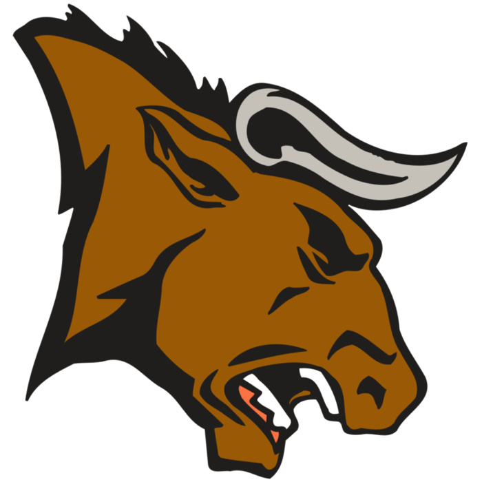 AR BULL 38 RC Vignette