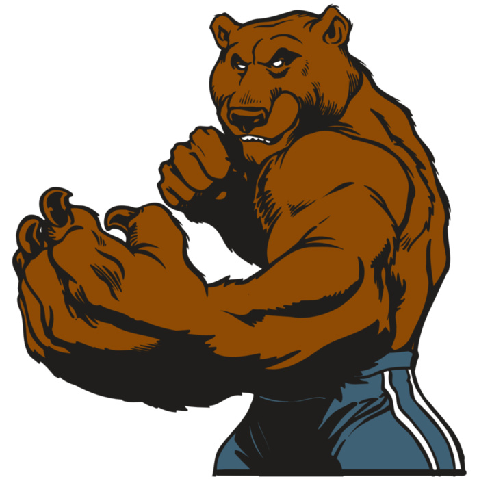 AR BEAR 31 RC Vignette