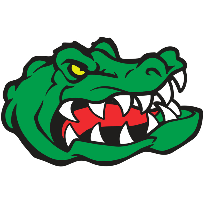 AR GATOR 19 RQC Vignette