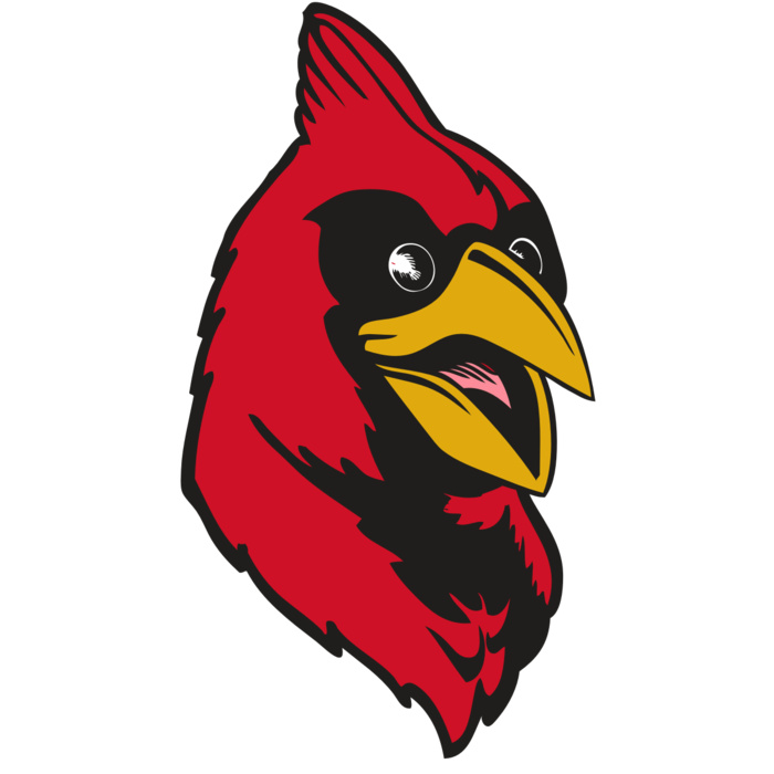 BAW CARDINAL 05 RC Vignette