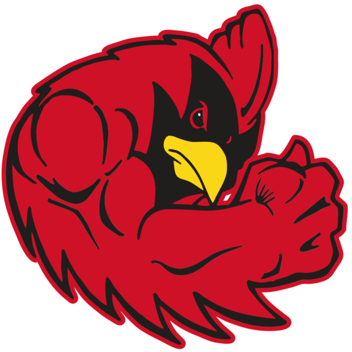 AR CARDINAL 29 RC Vignette