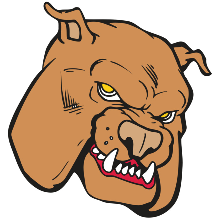 AR BDOG 41 RC Vignette