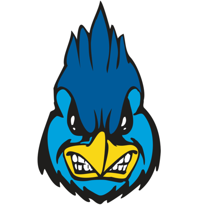 BAW BLUEJAY 02 RC Vignette