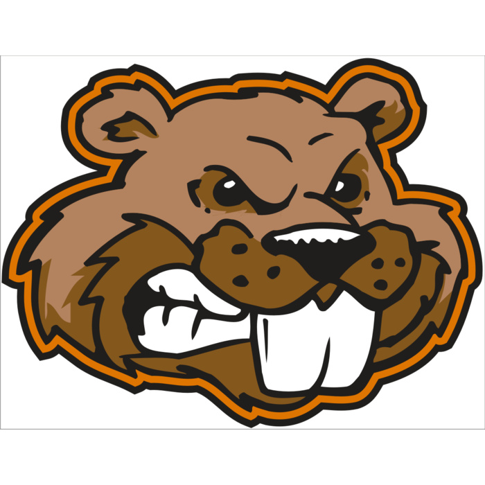 AR BEAVER 11 RC Vignette