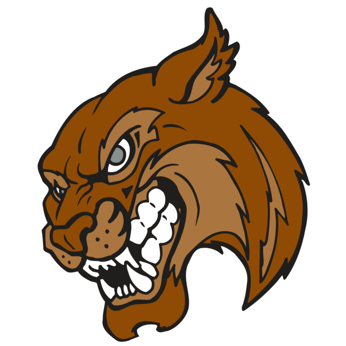 AR5 BOBCAT 07 RQC Vignette