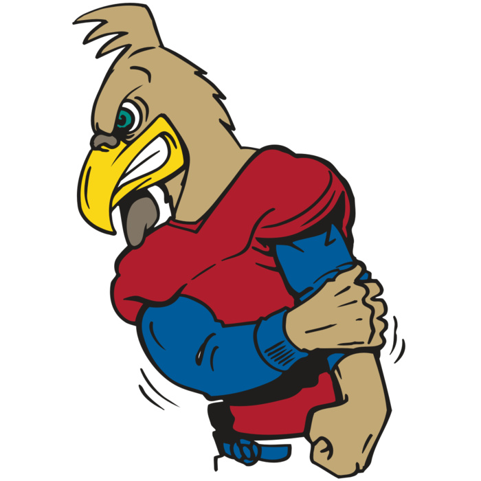 AR GCOCK 10 RC Vignette