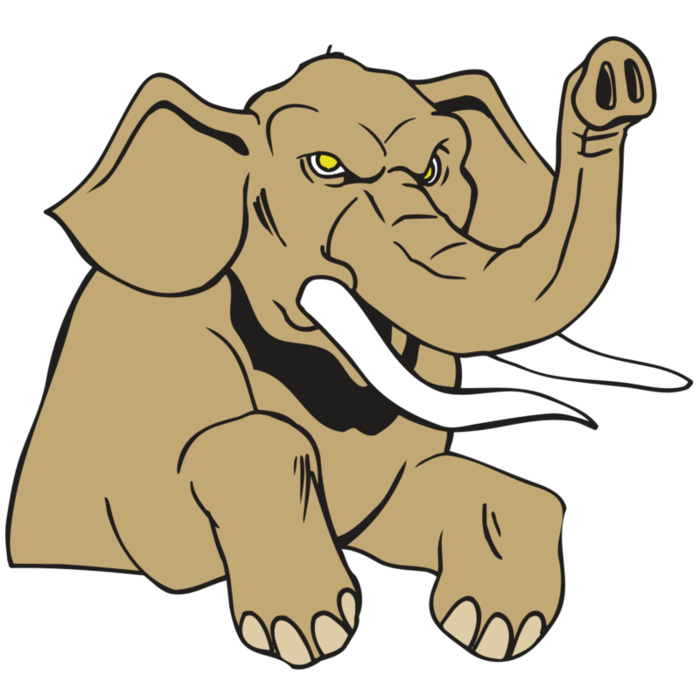 AR ELEPH 19 RC Vignette