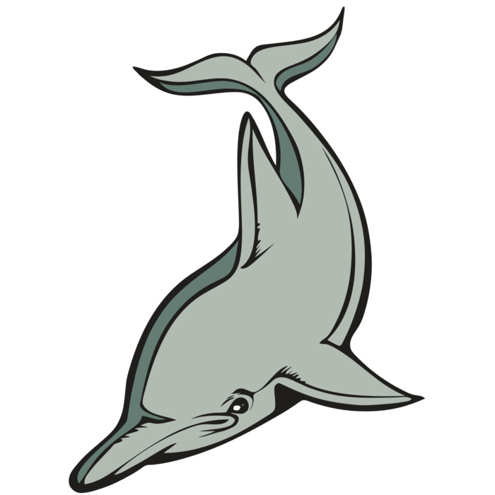 BAW DOLPHIN 01 RC Vignette