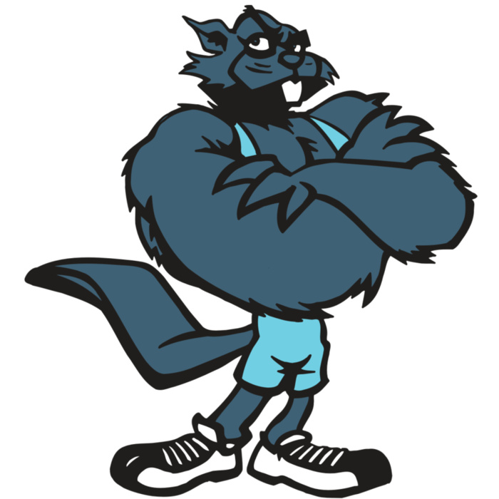 AR5 BEAVER 04 RQC Vignette