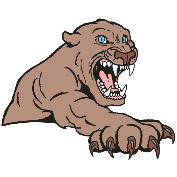 AR5 COUGAR 20 RQC Vignette