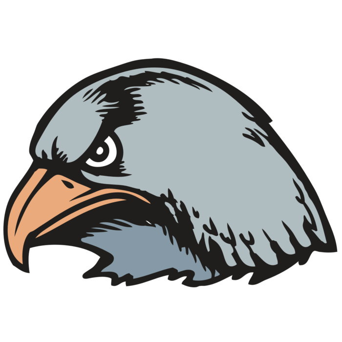 BAW HWK FLCN 03 RC Vignette