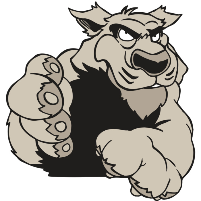 AR5 COUGAR 21 RQC Vignette