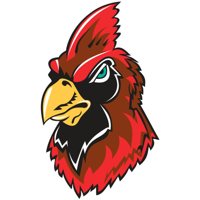 CARDINAL HD0501 RQC Vignette