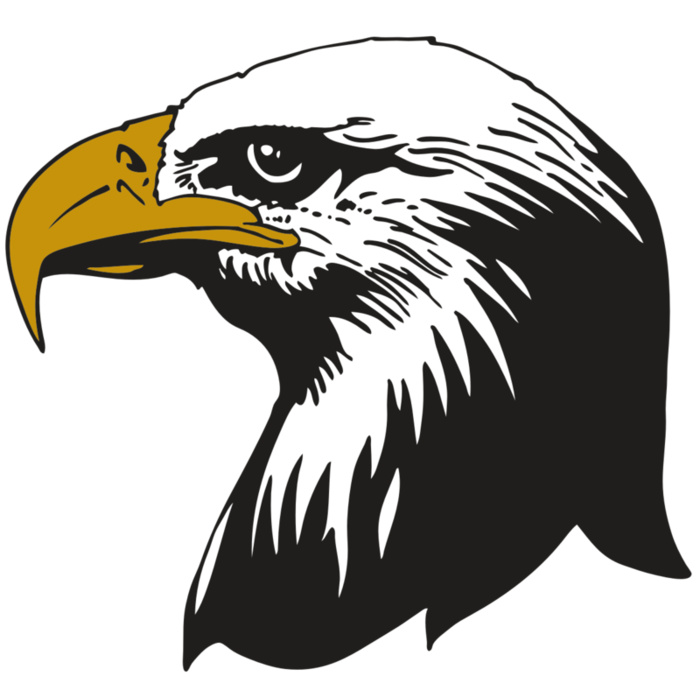 AR EAGLE 87 RC Vignette