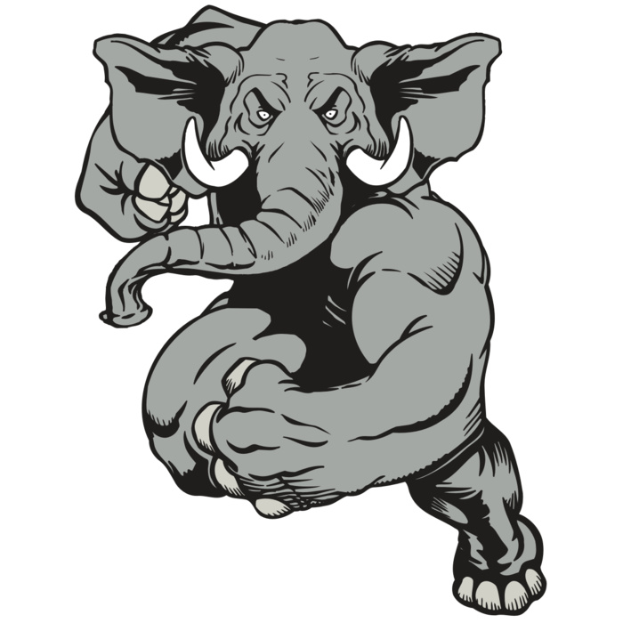 AR ELEPH 18 RC Vignette