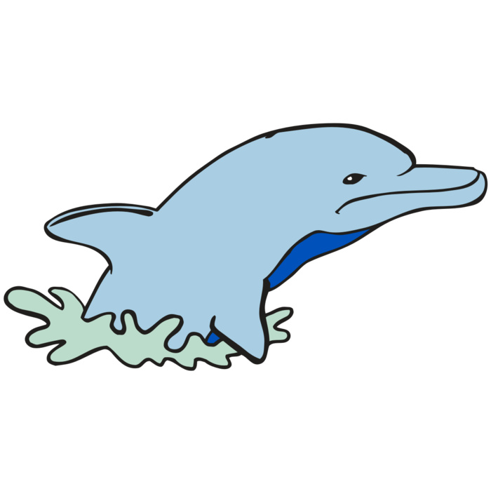 AR DOLPIN 14 RC Vignette