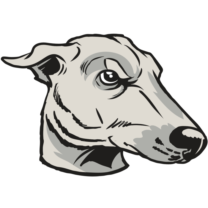 AR22 GREYHOUND 01 RQC Vignette