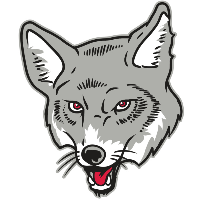 AR32 COYOTE 07 RQC Vignette