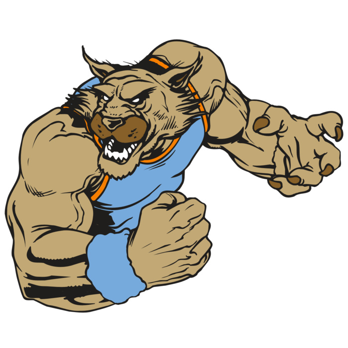 AR WILDCAT 46 RC Vignette