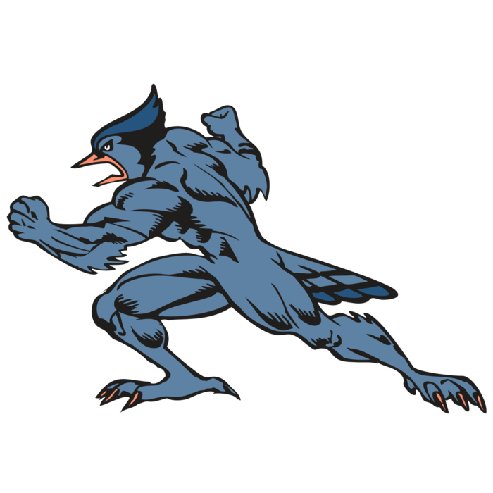 BAW BLUEJAY 15 RC Vignette