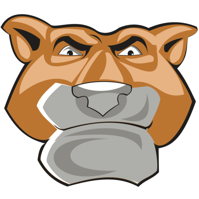 COUGAR HD0502 RQC Vignette