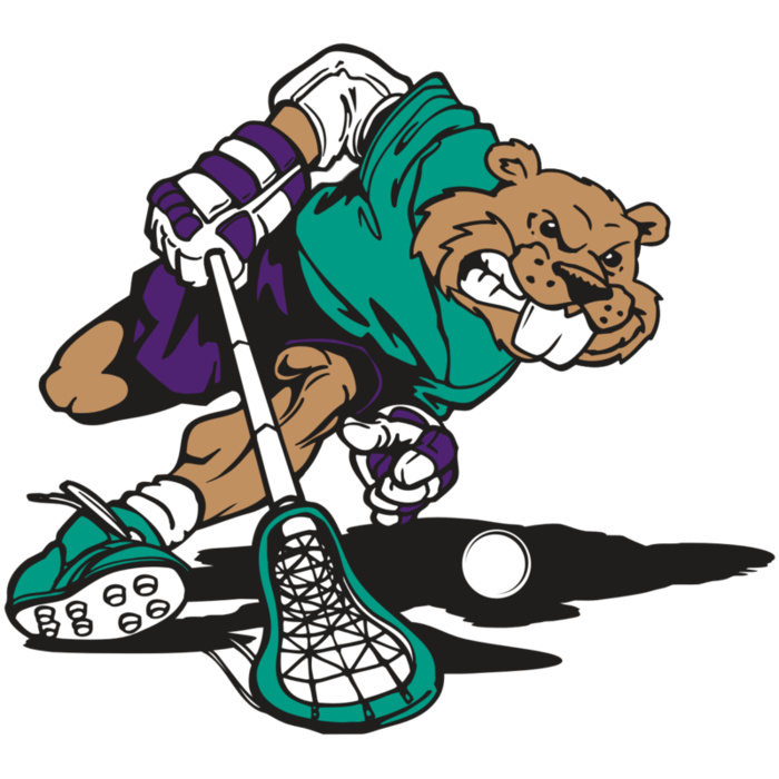 AR8 BEAVER 01 RQC Vignette