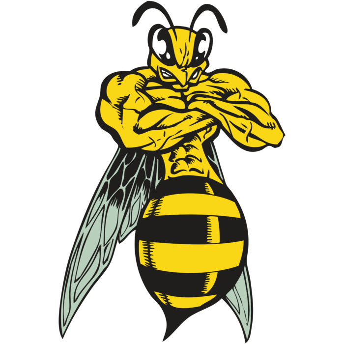 BAW BEE 16 RC Vignette