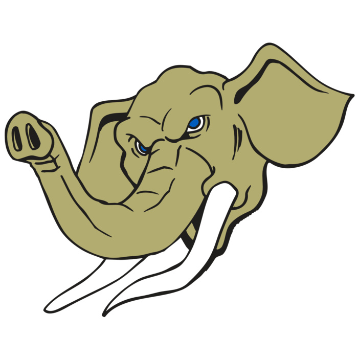 AR ELEPH 17 RC Vignette