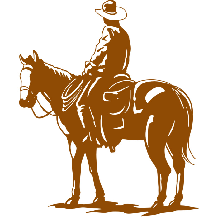 AR COWBOY 35 RC Vignette