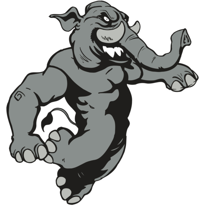 AR5 Elephant 09 RQC Vignette