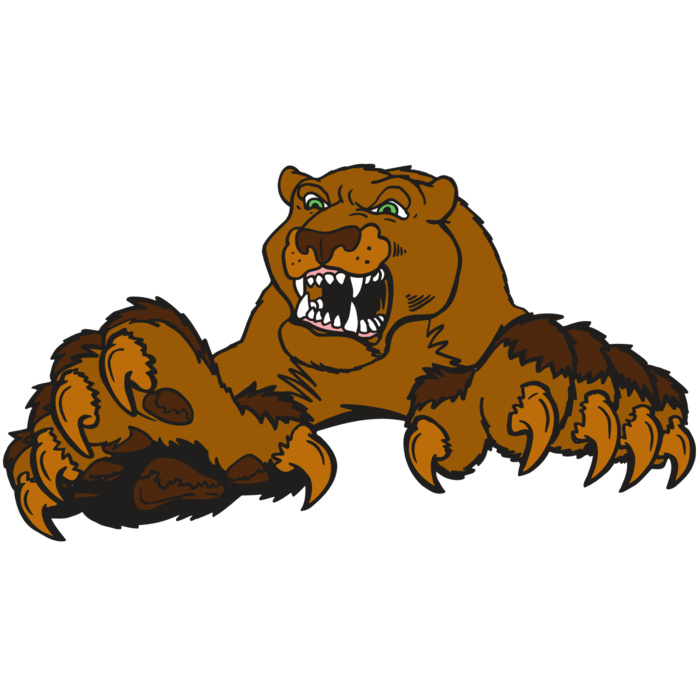 AR5 COUGAR 30 RQC Vignette