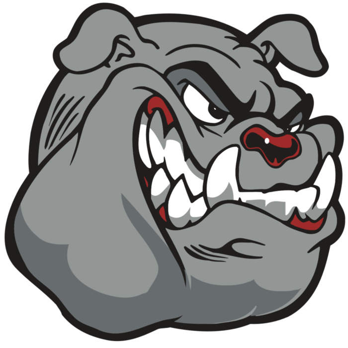 AR BDOG 13 RC Vignette