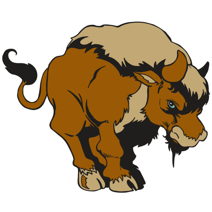 AR5 BUFFALO 13 RQC Vignette