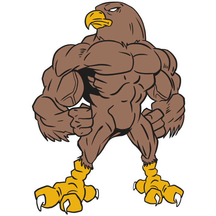 AR13 FALCON 01 RQC Vignette