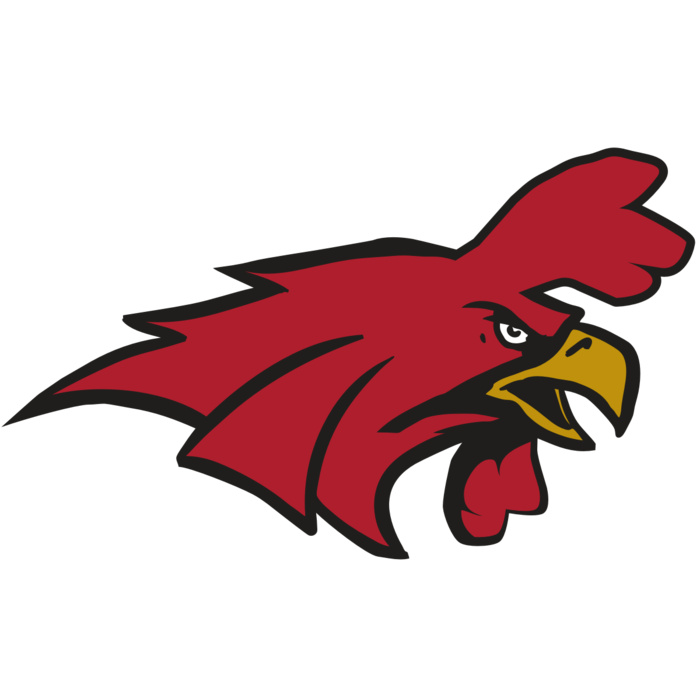 AR15 GAMECOCK 01 RQC Vignette